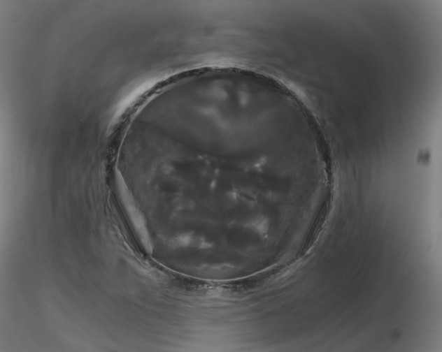 X0000116801263200912181309