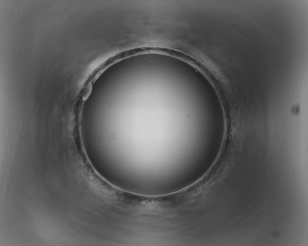 X0000116801264200912181309