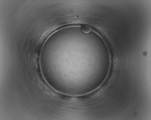 X0000116801265200912181309