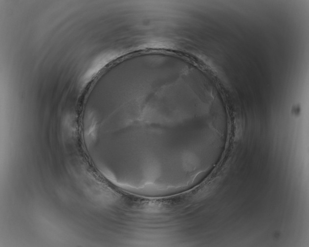 X0000116801266200912181309