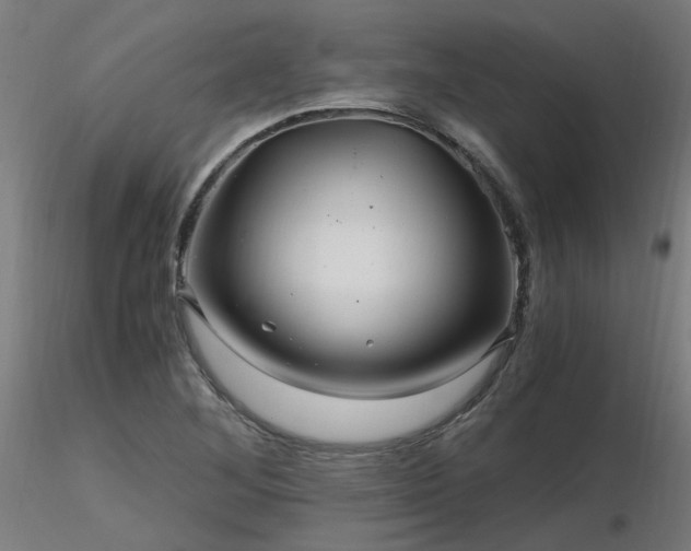X0000116801268200912181309