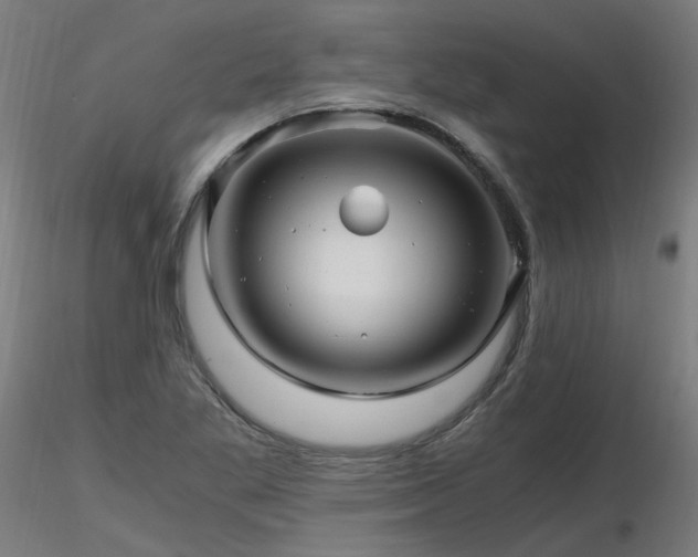 X0000116801269200912181309