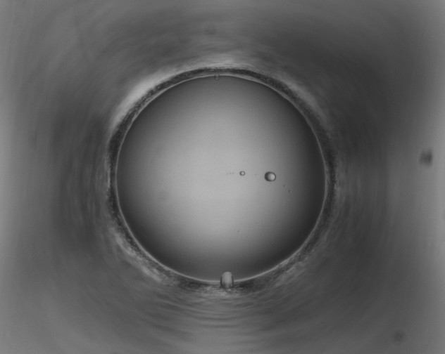 X0000116801270200912181309
