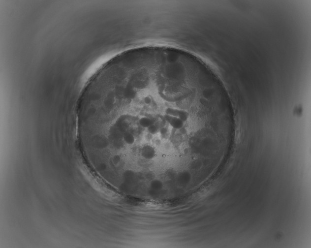 X0000116801271200912181309