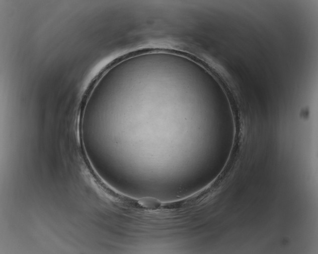 X0000116801272200912181309
