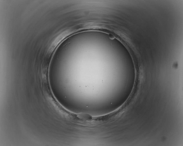 X0000116801273200912181309