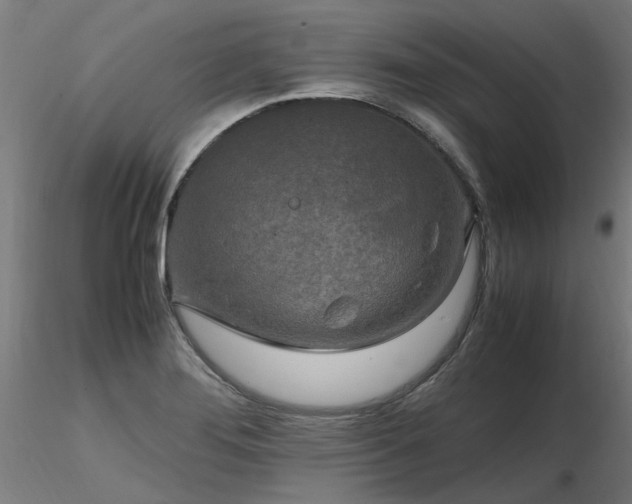 X0000116801276200912181309