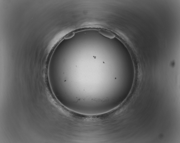 X0000116801277200912181309