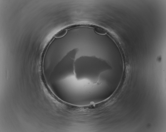 X0000116801279200912181309