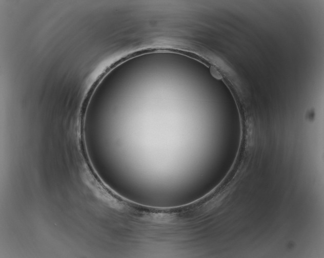 X0000116801280200912181309