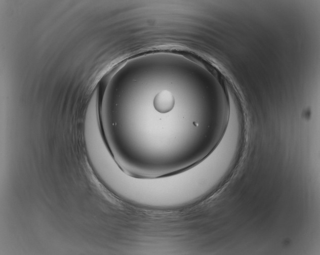 X0000116801281200912181309