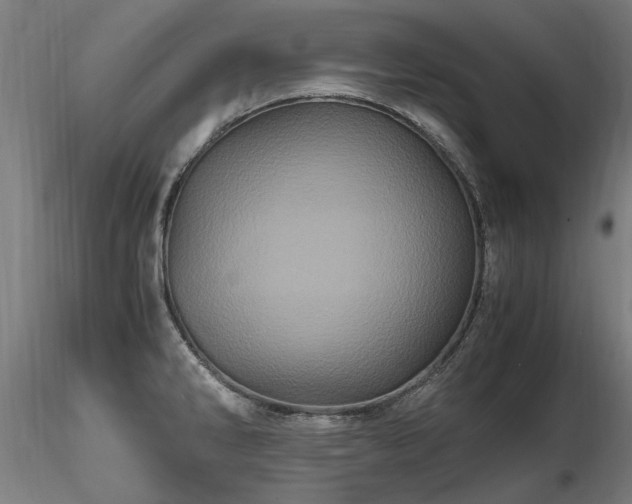 X0000116801286200912181309