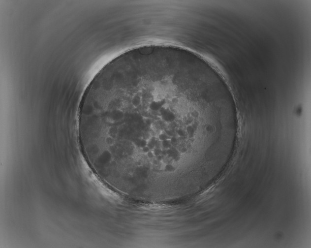 X0000116801287200912181309