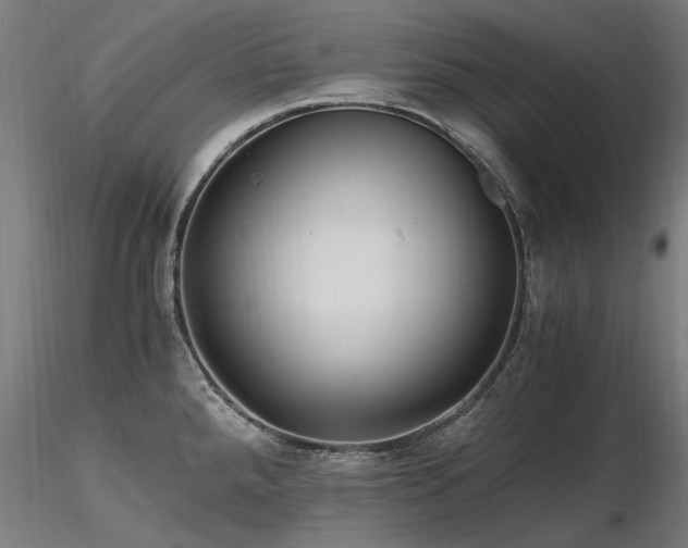X0000116801288200912181309