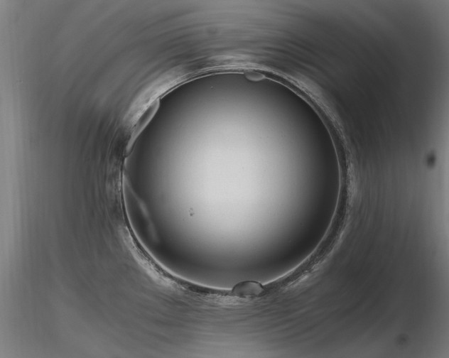 X0000116801289200912181309