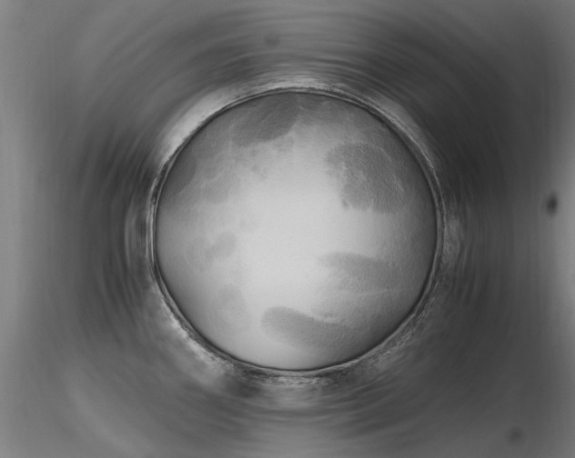 X0000116801290200912181309
