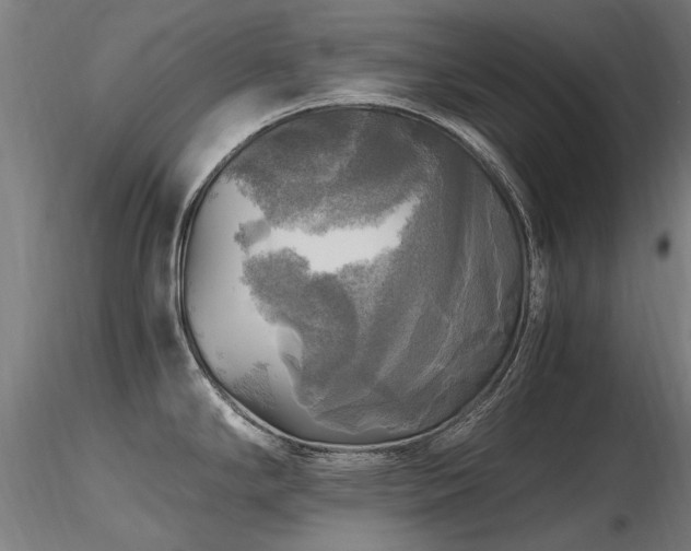 X0000116801294200912181309