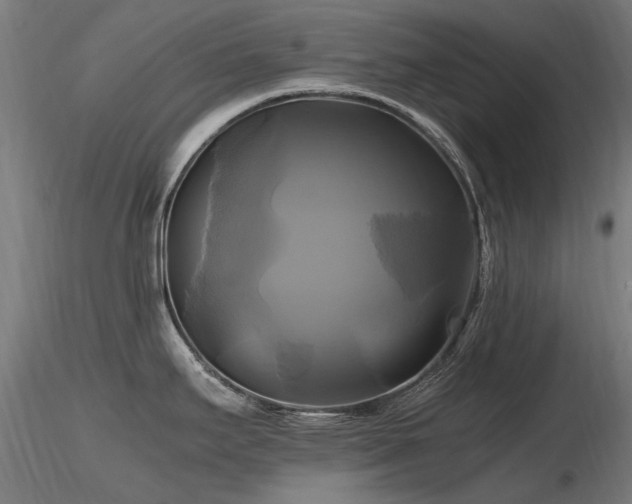 X0000116801295200912181309