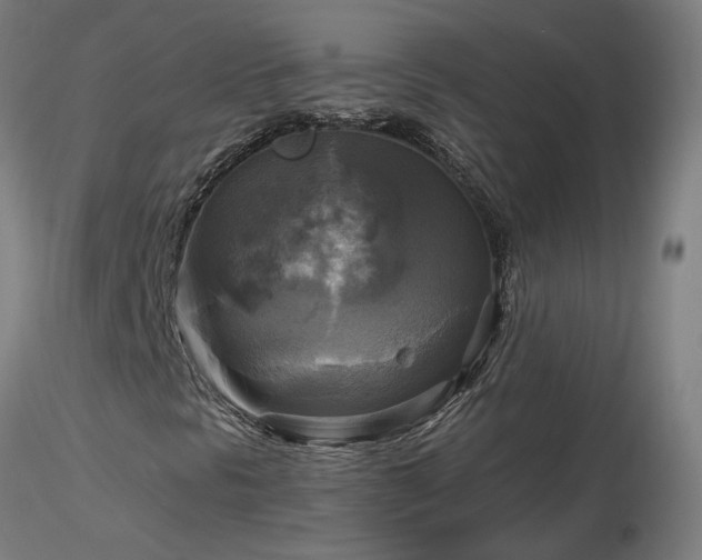 X0000116801297200912181308