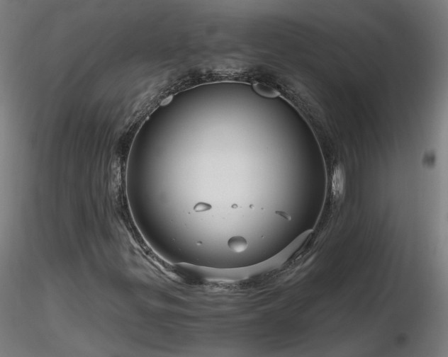 X0000116801299200912181308