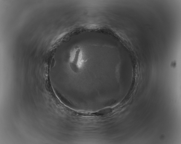 X0000116801301200912181308