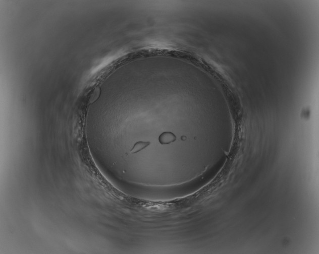 X0000116801303200912181308