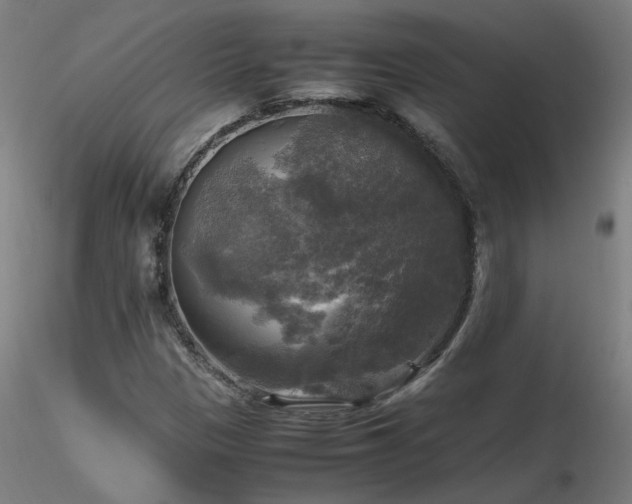 X0000116801305200912181308