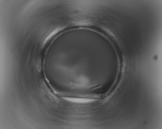 X0000116801306200912181308