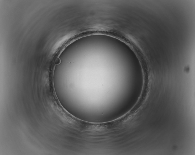 X0000116801307200912181308