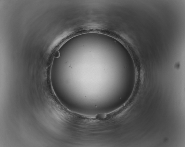 X0000116801309200912181308