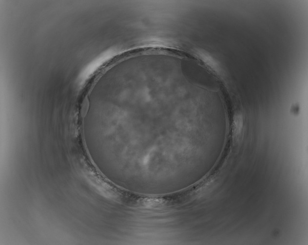 X0000116801310200912181308