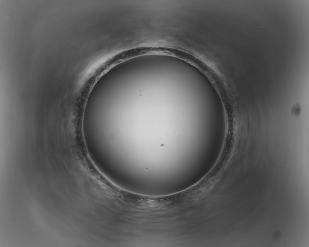 X0000116801311200912181308