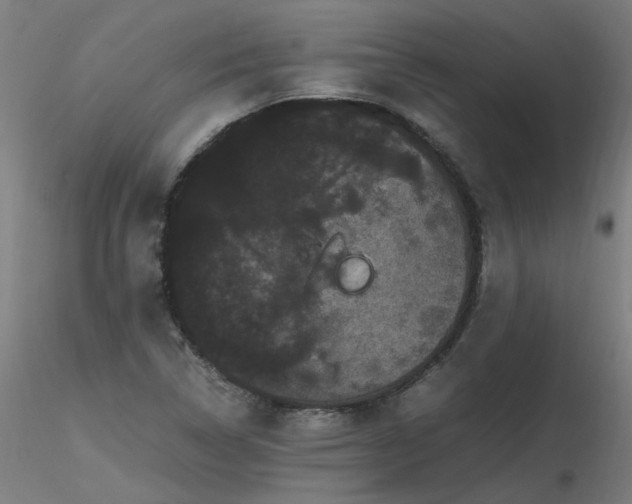 X0000116801314200912181308