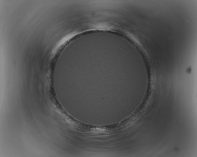 X0000116801315200912181308