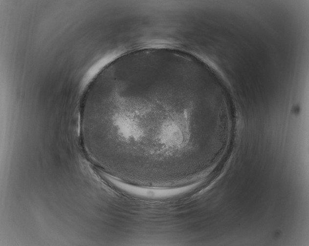 X0000116801317200912181308