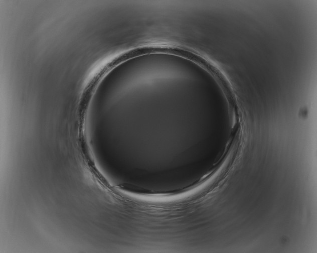 X0000116801319200912181309