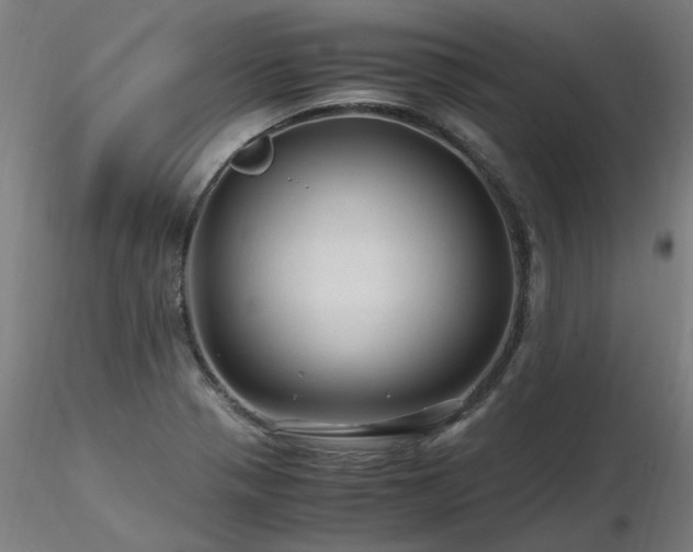 X0000116801321200912181309