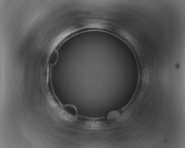 X0000116801323200912181309