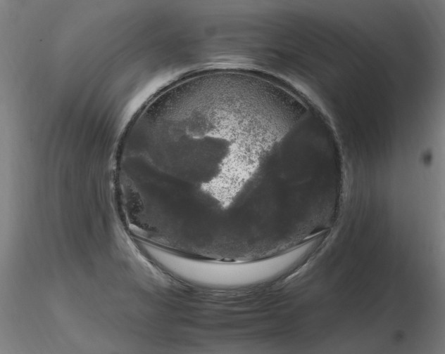 X0000116801325200912181309