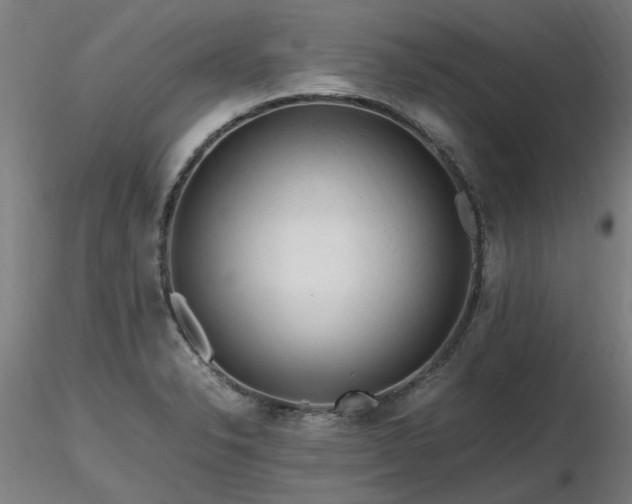 X0000116801326200912181309