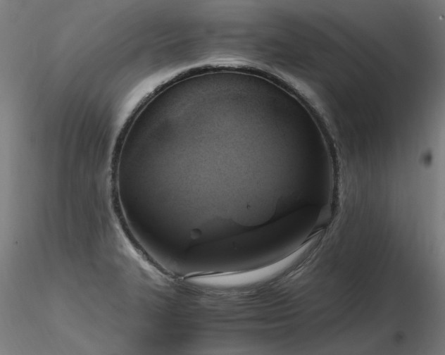 X0000116801327200912181309