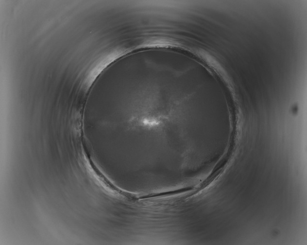 X0000116801329200912181309