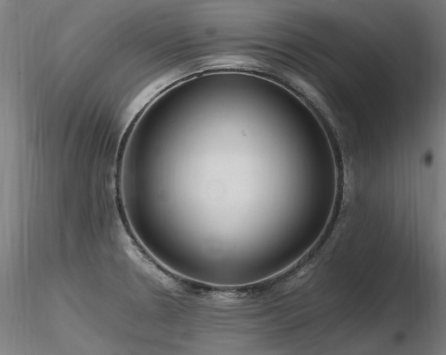 X0000116801330200912181309