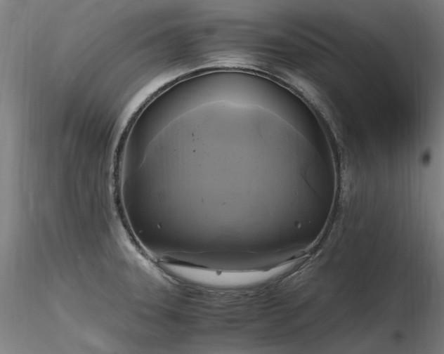 X0000116801331200912181309