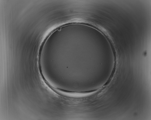 X0000116801334200912181309