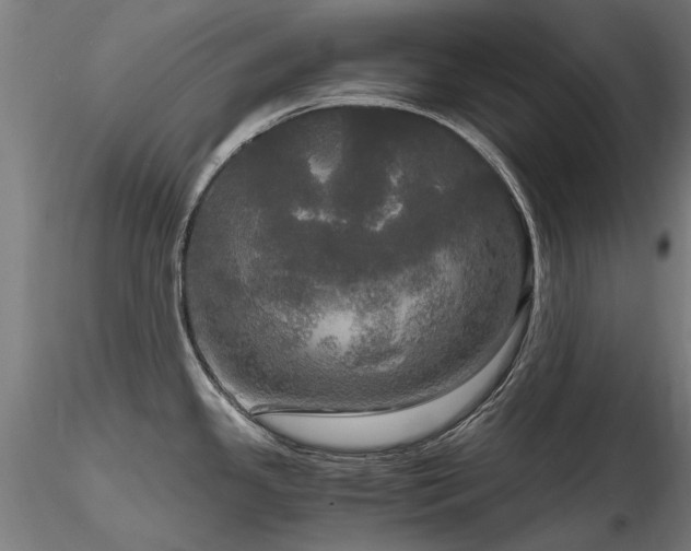X0000116801341200912181309
