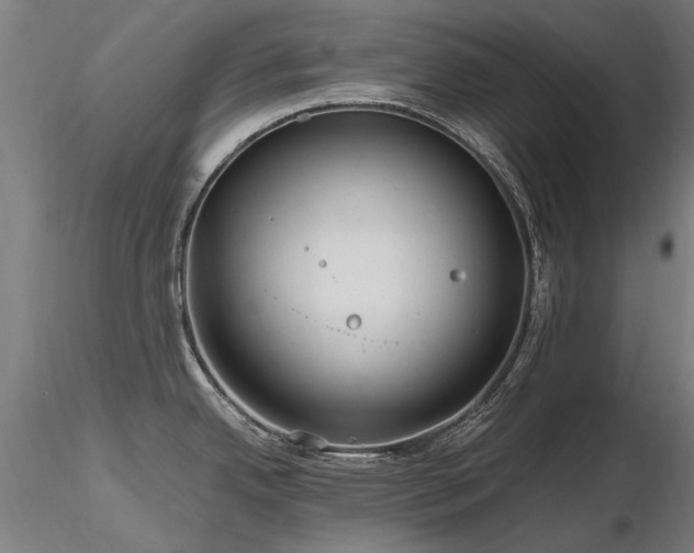 X0000116801342200912181309