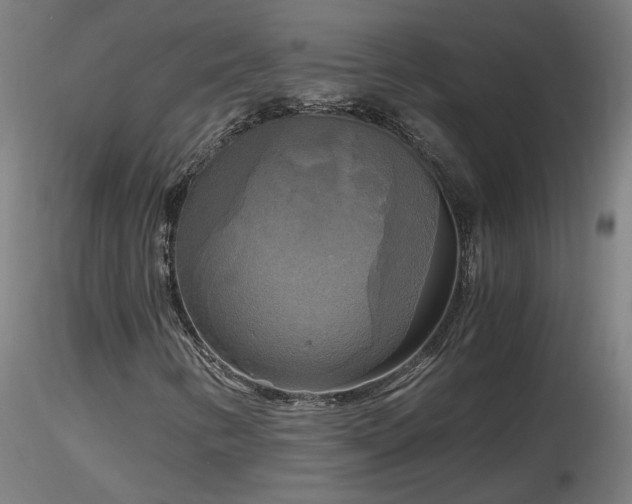X0000116801346200912181308