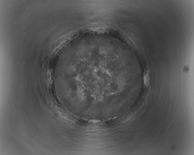 X0000116801347200912181308