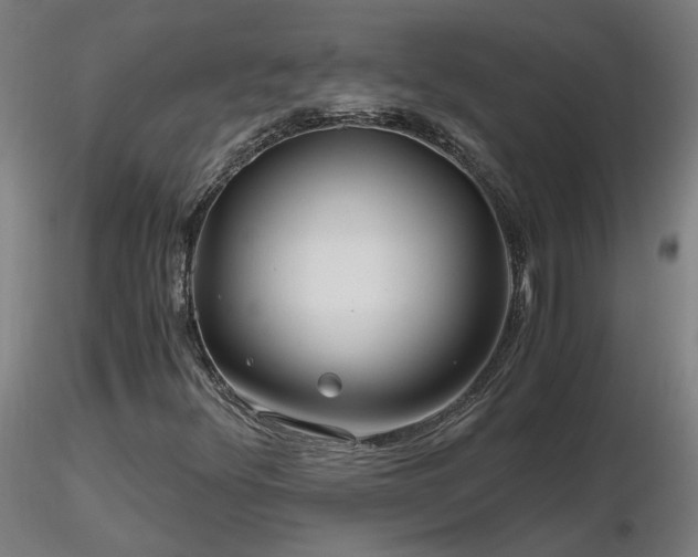 X0000116801348200912181308